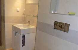 2 camere, 46 mp, imobil nou, mobilat modern, garaj, boxa, zona strazii Buna Ziua