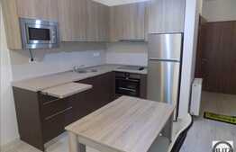 2 camere, 46 mp, imobil nou, mobilat modern, garaj, boxa, zona strazii Buna Ziua