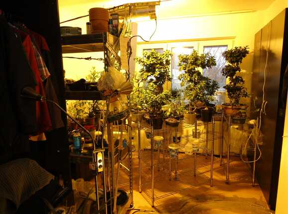 Apartament de vânzare 2 camere Gruia - 23641AV | BLITZ Cluj-Napoca | Poza4