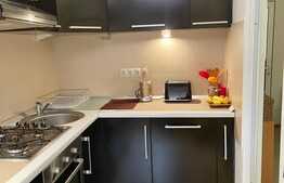 Apartament 1 camera, 30 mp, pet friendly, zona Piata Mihai Viteazu