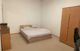 Apartament 1 camera, 30 mp, pet friendly, zona Piata Mihai Viteazu