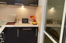 Apartament 1 camera, 30 mp, pet friendly, zona Piata Mihai Viteazu