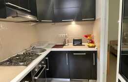 Apartament 1 camera, 30 mp, pet friendly, zona Piata Mihai Viteazu