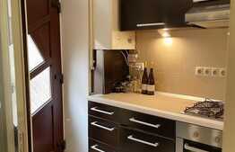 Apartament 1 camera, 30 mp, pet friendly, zona Piata Mihai Viteazu