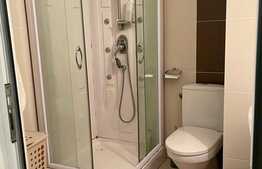 Apartament 1 camera, 30 mp, pet friendly, zona Piata Mihai Viteazu