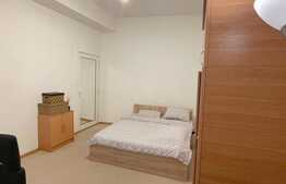 Apartament 1 camera, 30 mp, pet friendly, zona Piata Mihai Viteazu