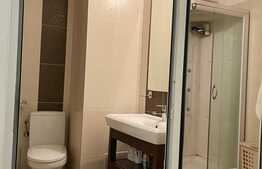 Apartament 1 camera, 30 mp, pet friendly, zona Piata Mihai Viteazu