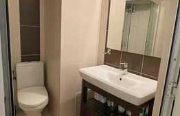 Apartament 1 camera, 30 mp, pet friendly, zona Piata Mihai Viteazu