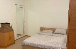 Apartament 1 camera, 30 mp, pet friendly, zona Piata Mihai Viteazu