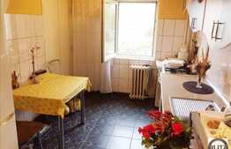 Vanzare apartament 3 camere, 65,15 mp, garaj, boxa, zona Iulius Mall