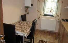 Apartament 2 camere, decomandat, 60 mp, mobilat modern, A.C., complexul Park Lake