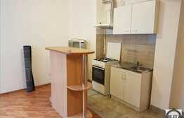 Garsoniera, 30 mp, mobilata  modern, AC, zona Farmec