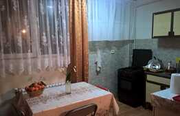 Apartament 1 camera, 29 mp, zona strazii Grigore Alexandrescu