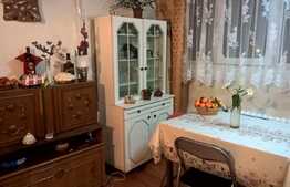 Apartament 1 camera, 29 mp, zona strazii Grigore Alexandrescu