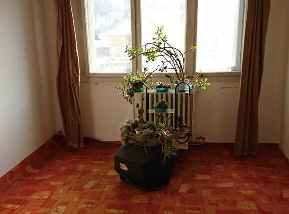 Apartament de vânzare 4 camere Manastur - 23696AV | BLITZ Cluj-Napoca | Poza5