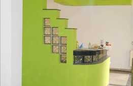 Vanzare apartament 5 camere, 220 mp utili, terasa 35 mp, zona Piata Muzeului