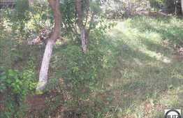 De vanzare 3 camere decomandate, zona strazii Grigore Alexandrescu, 63 mp utili