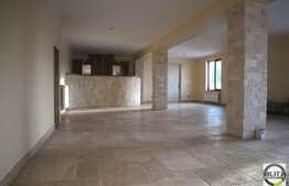 Proprietate deosebita la Belis cu 350 mp utili si 5500 mp teren!