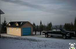 Proprietate deosebita la Belis cu 350 mp utili si 5500 mp teren!