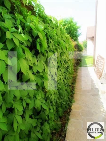 Casa de vânzare 10 camere Grigorescu - 23789CV | BLITZ Cluj-Napoca | Poza5