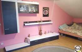 Vanzare casa individuala, 160 mp utili, 750 mp teren, zona linistita