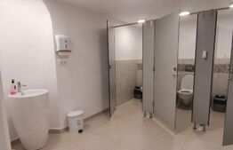 Spatiu pentru birouri, 150 mp, Piata Unirii, etajul 1, cladire istorica