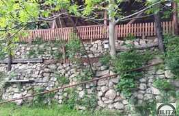 Casa de inchiriat, 160 mp utili, zona TVR Cluj