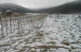 Teren intravilan de vanzare in Gilau, 2700 mp, doua fronturi la strada!