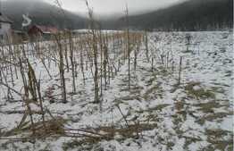 Teren intravilan de vanzare in Gilau, 2700 mp, doua fronturi la strada!