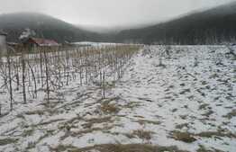 Teren intravilan de vanzare in Gilau, 2700 mp, doua fronturi la strada!