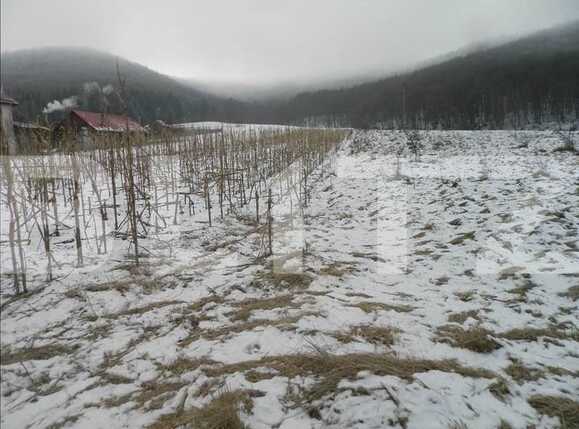 Teren de vânzare Exterior Vest - 23814TV | BLITZ Cluj-Napoca | Poza2