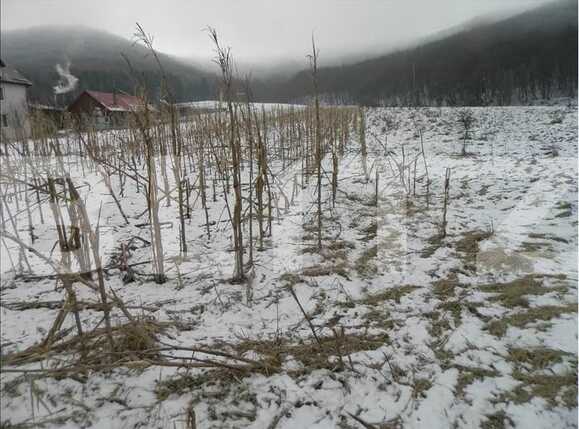 Teren de vânzare Exterior Vest - 23814TV | BLITZ Cluj-Napoca | Poza1