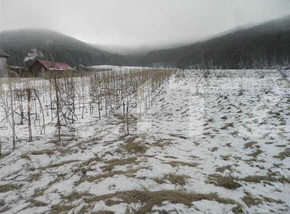 Teren de vânzare Exterior Vest - 23814TV | BLITZ Cluj-Napoca | Poza3