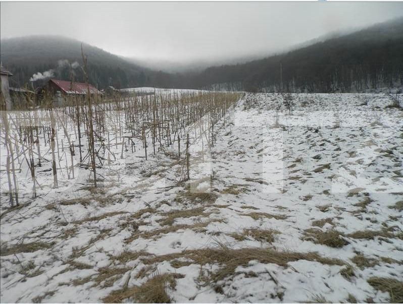 Teren de vânzare Exterior Vest - 23814TV | BLITZ Cluj-Napoca | Poza2