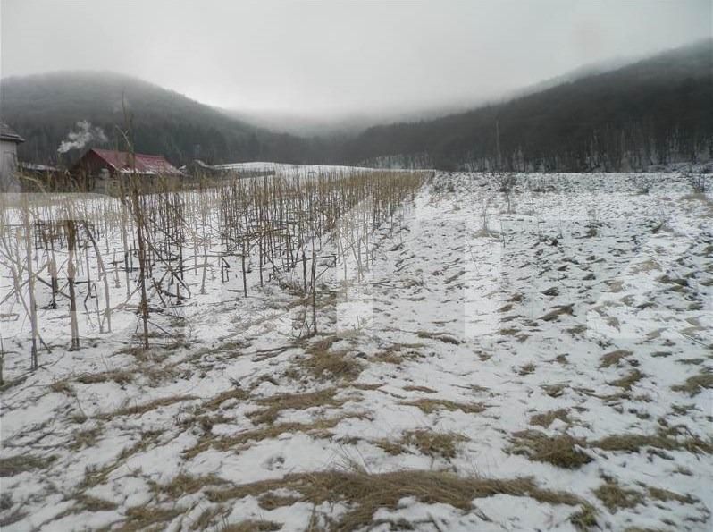 Teren de vânzare Exterior Vest - 23814TV | BLITZ Cluj-Napoca | Poza3