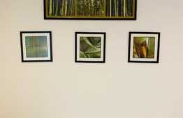 Apartament 2 camere decomandate, 68 mp,  zona strazii Donath