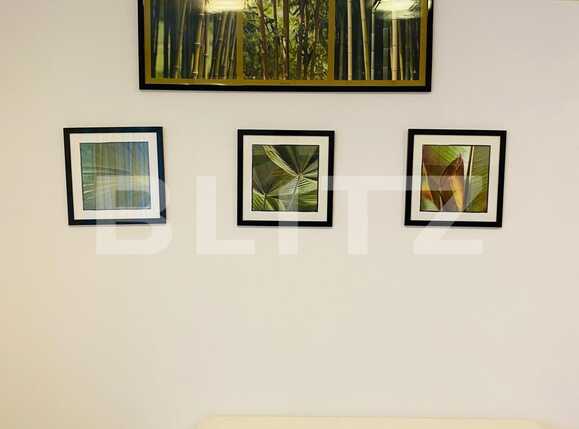 Apartament de închiriat 2 camere Grigorescu - 23858AI | BLITZ Cluj-Napoca | Poza12