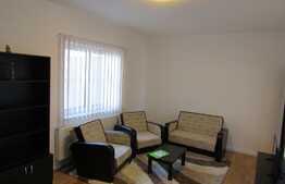 Apartament 1 camera, 46 mp, parcare, terasa, zona strazii Oasului