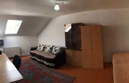 Apartament cu 1 camera, 35 mp, decomandata, zona strazii Frunzisului