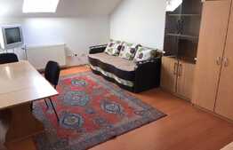 Apartament cu 1 camera, 35 mp, decomandata, zona strazii Frunzisului