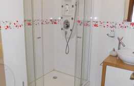 4 camere, 93 mp, parcare, terasa 98 mp, zona strazii Buna Ziua