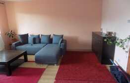 Apartament 2 camere, 52 mp, mobilat modern, parcare, zona strazii Trifoiului