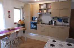 3 camere, 54 mp! Complet mobilat si utilat! Parcare! Zona strazii Florilor!