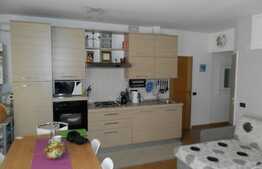 3 camere, 54 mp! Complet mobilat si utilat! Parcare! Zona strazii Florilor!