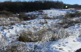 Teren de vanzare, 8551 mp, PUZ in lucru!