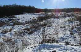 Teren de vanzare, 8551 mp, PUZ in lucru!