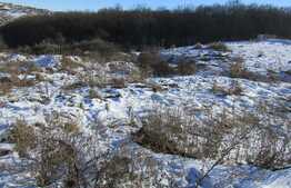 Teren de vanzare, 8551 mp, PUZ in lucru!