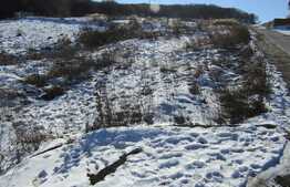 Teren de vanzare, 8551 mp, PUZ in lucru!