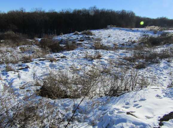 Teren de vânzare Manastur - 23919TV | BLITZ Cluj-Napoca | Poza1