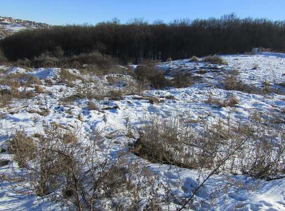 Teren de vânzare Manastur - 23919TV | BLITZ Cluj-Napoca | Poza3